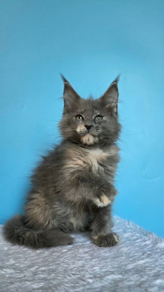 Photo 2026 04 15 18 38 54 2