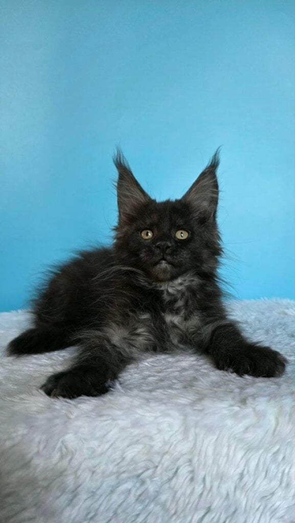 Photo 2026 04 15 18 40 35