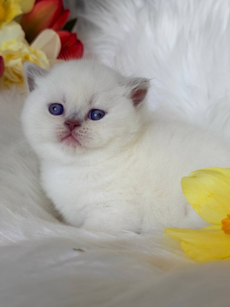 Photo 2026 04 15 23 37 06