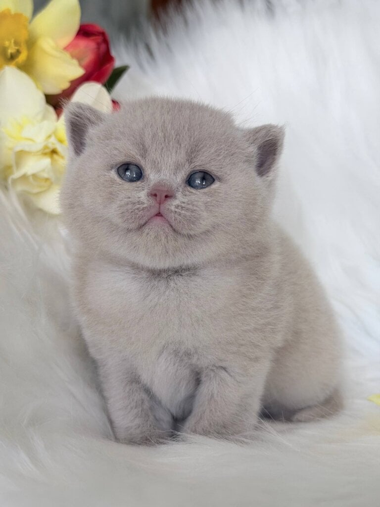 Photo 2026 04 16 00 12 56