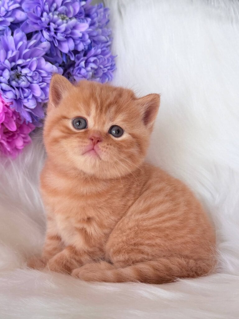 Photo 2026 04 16 00 25 26