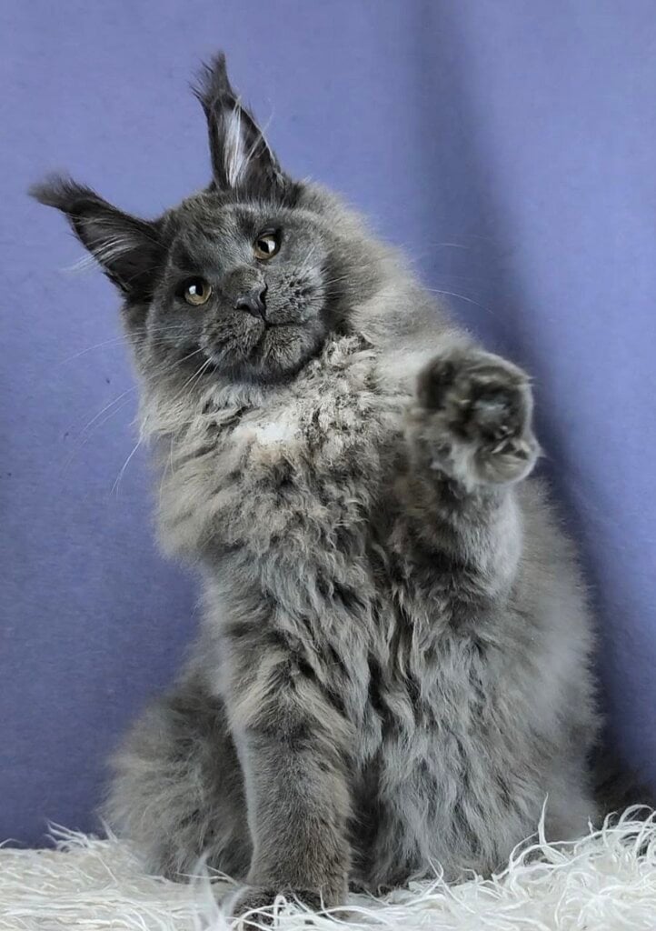 Photo 2026 04 16 10 55 51 2