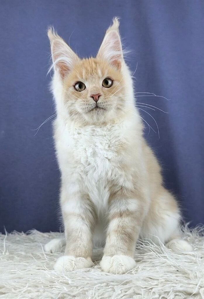 Photo 2026 04 16 11 18 51