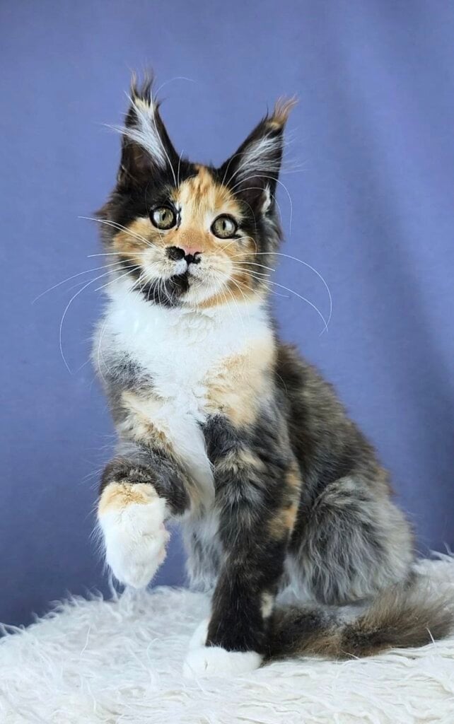 Photo 2026 04 16 11 21 17 2 1