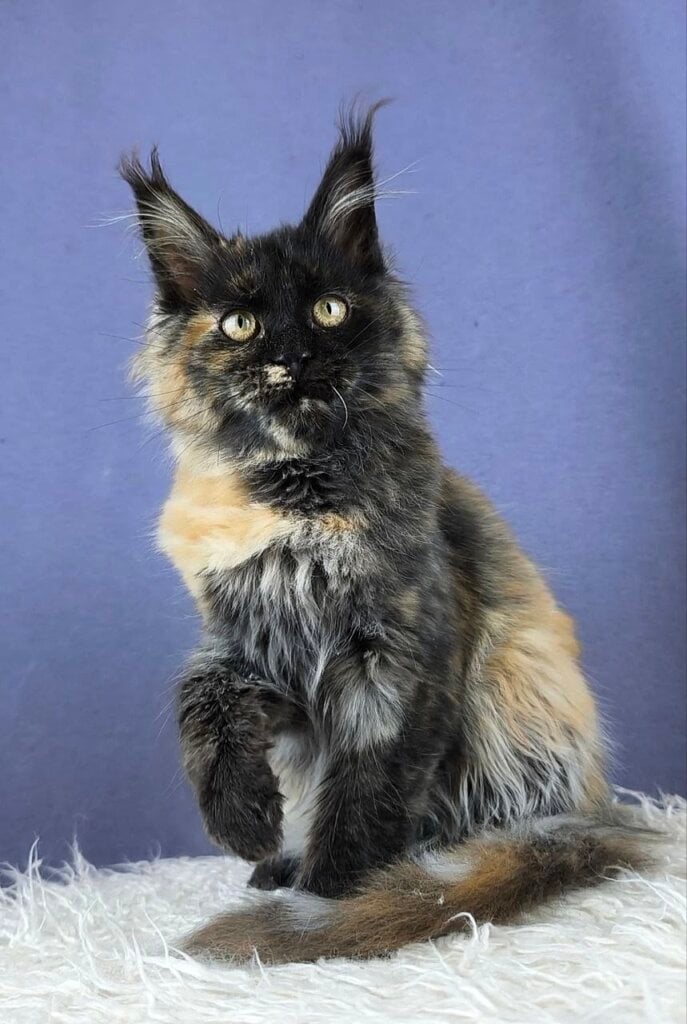 Photo 2026 04 16 11 23 29 2 1