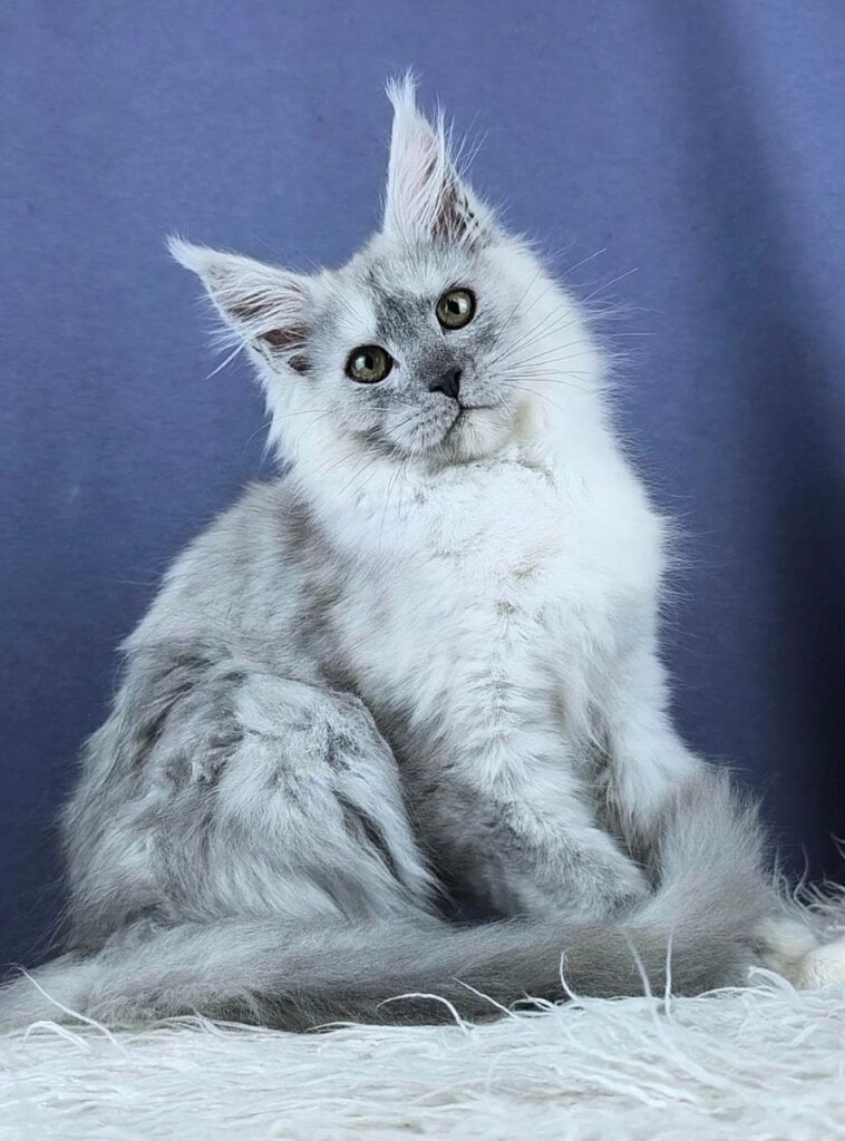 Photo 2026 04 16 11 28 44