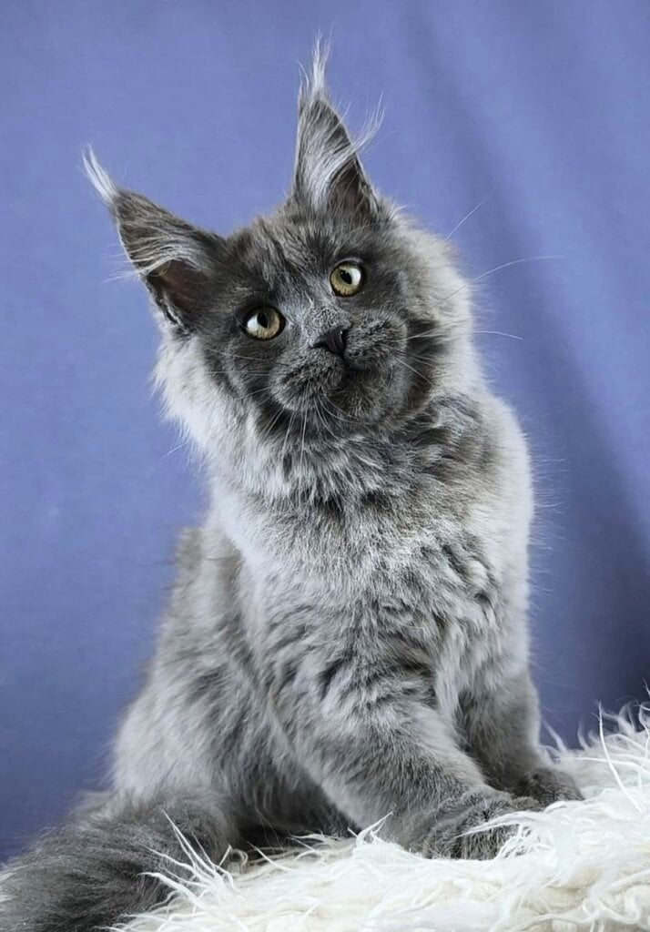 Photo 2026 04 16 11 30 34 2