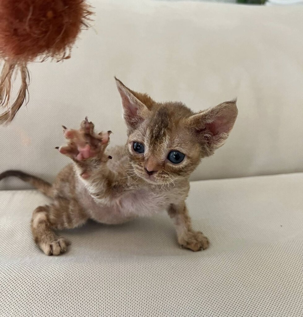 Photo 2026 04 16 14 13 25