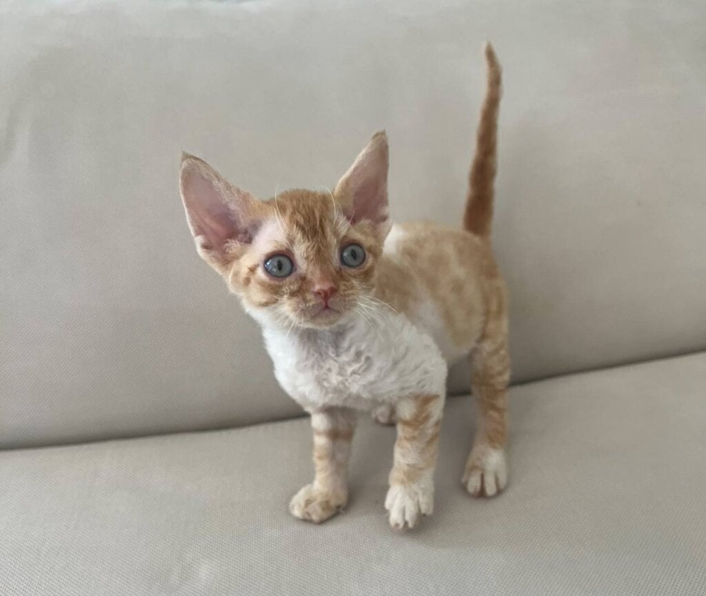 Photo 2026 04 16 14 15 01