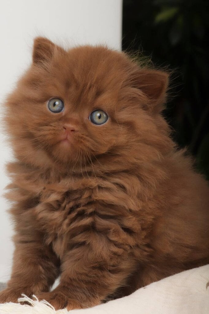 Photo 2026 04 17 10 01 00 2