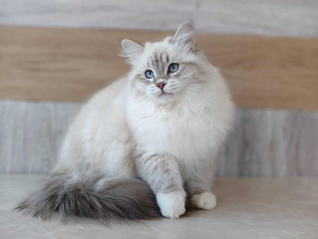 Photo 2026 04 17 12 09 51 1