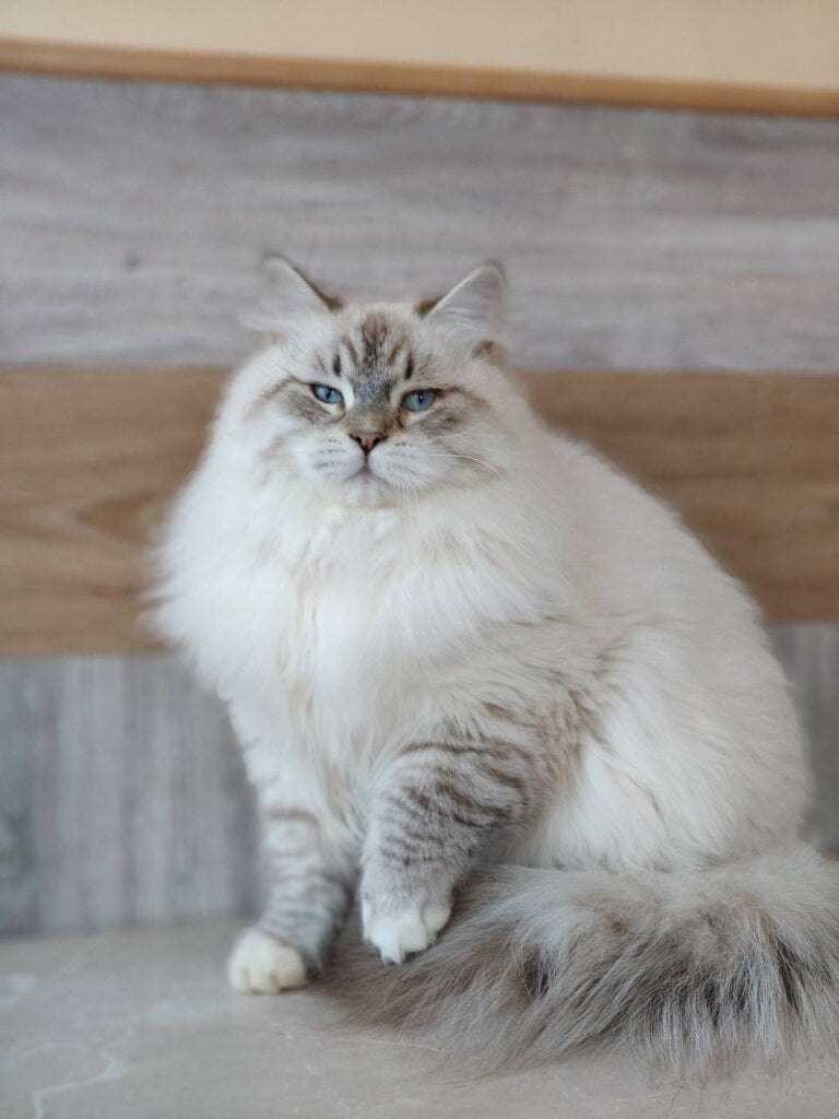 Photo 2026 04 17 12 15 34 1