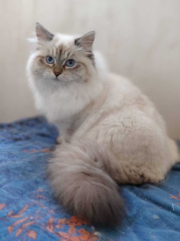 Photo 2026 04 17 12 22 59