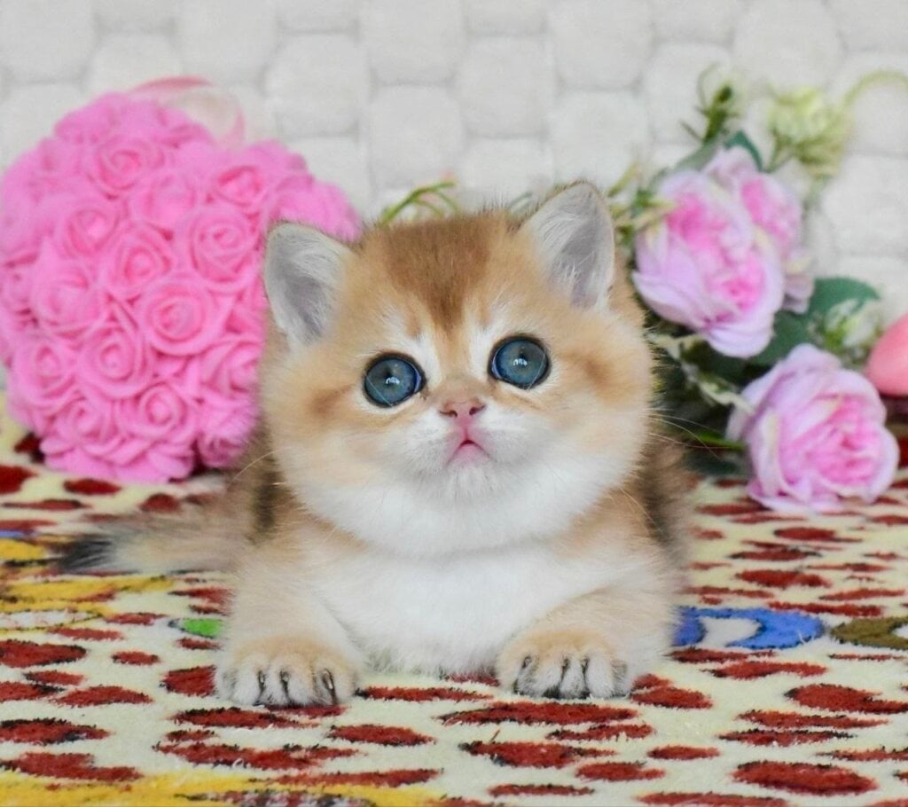 Photo 2026 04 17 13 51 02