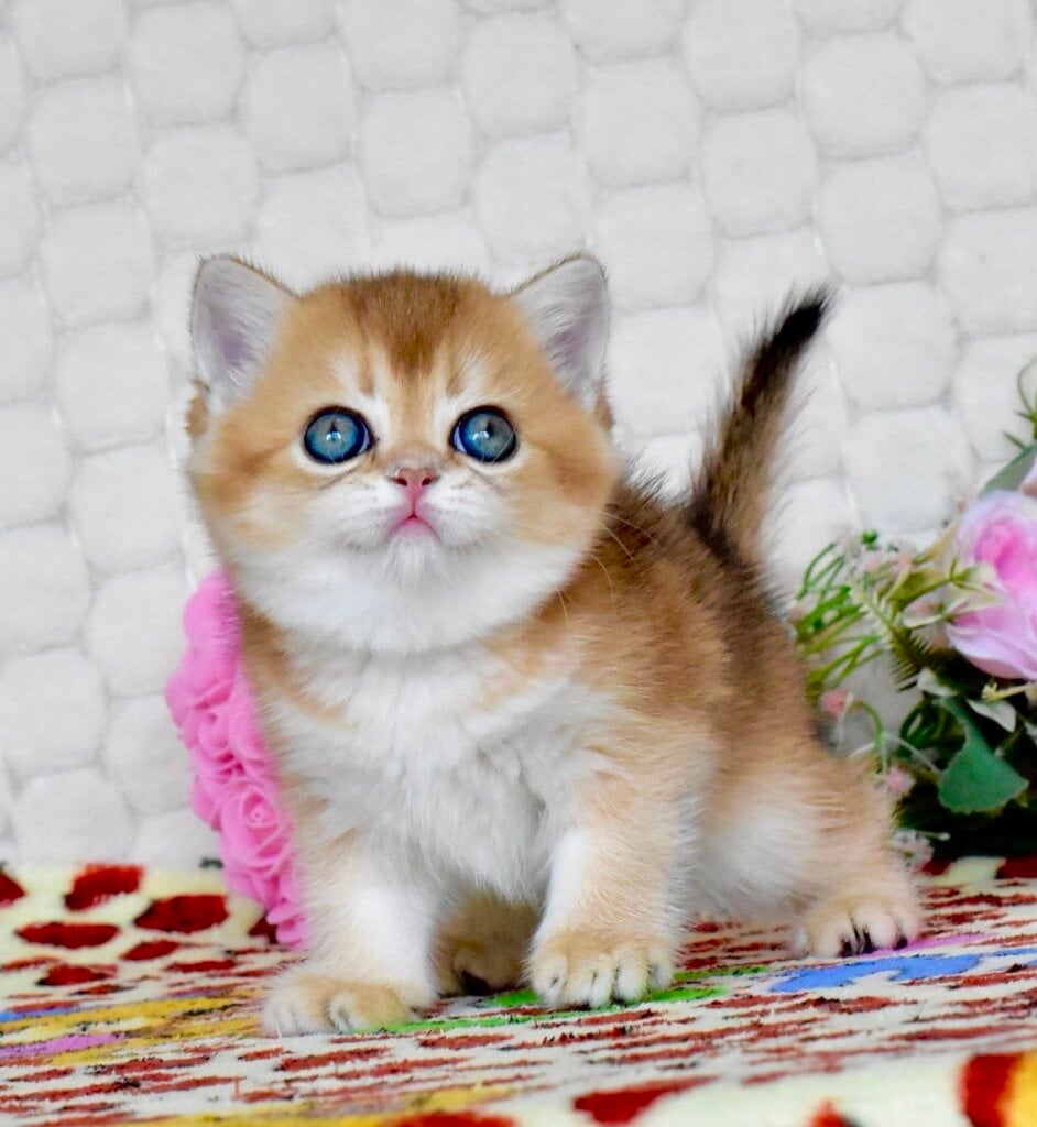 Photo 2026 04 17 13 55 15 2