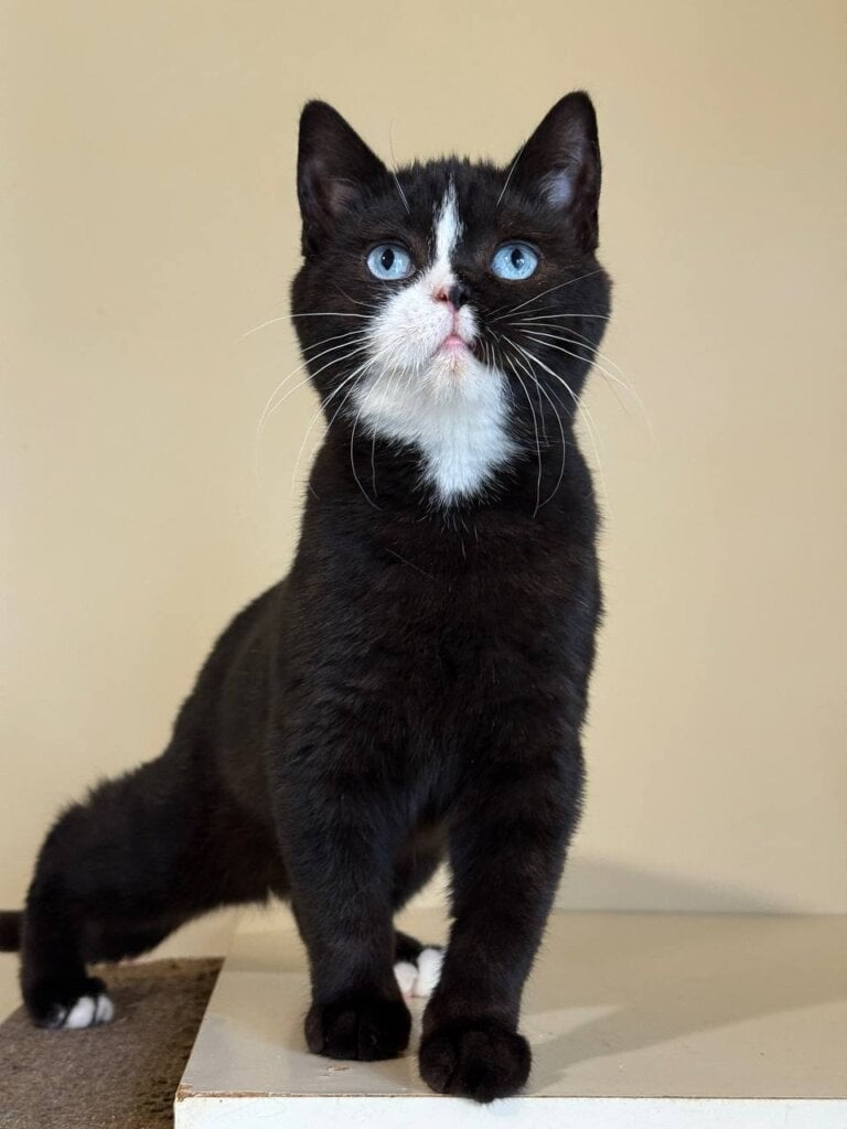 Photo 2026 04 17 17 57 45 2