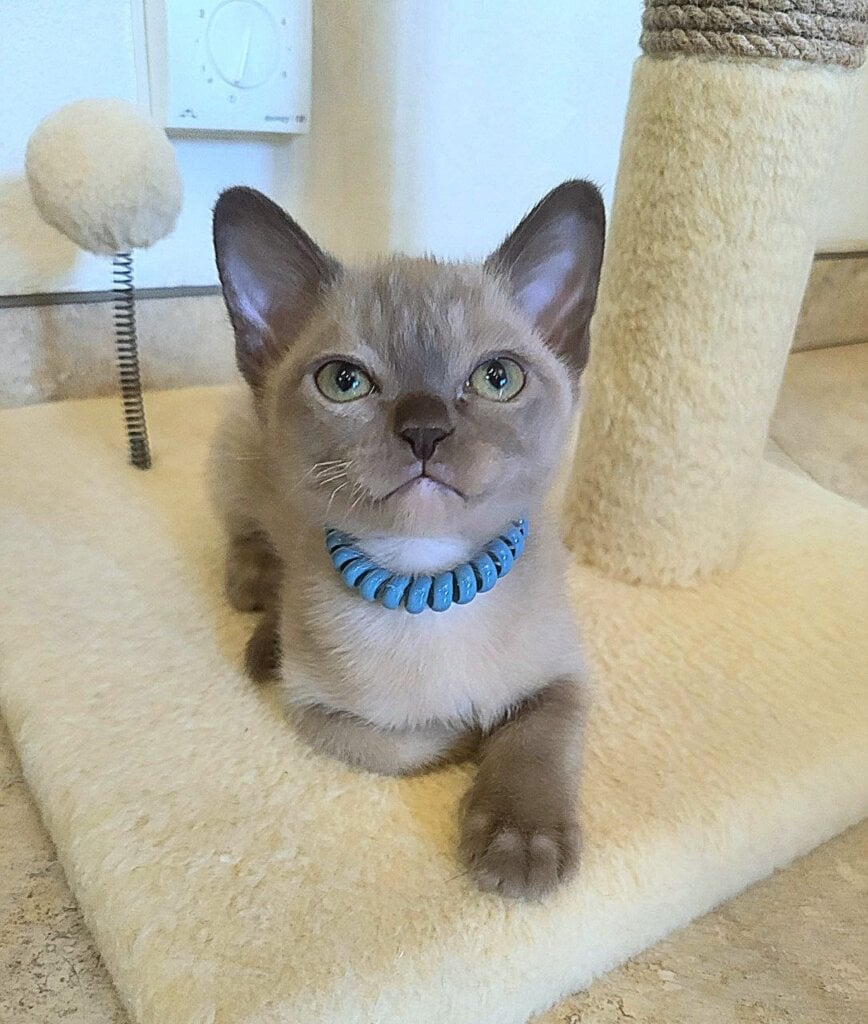 Photo 2026 04 18 11 12 20 2