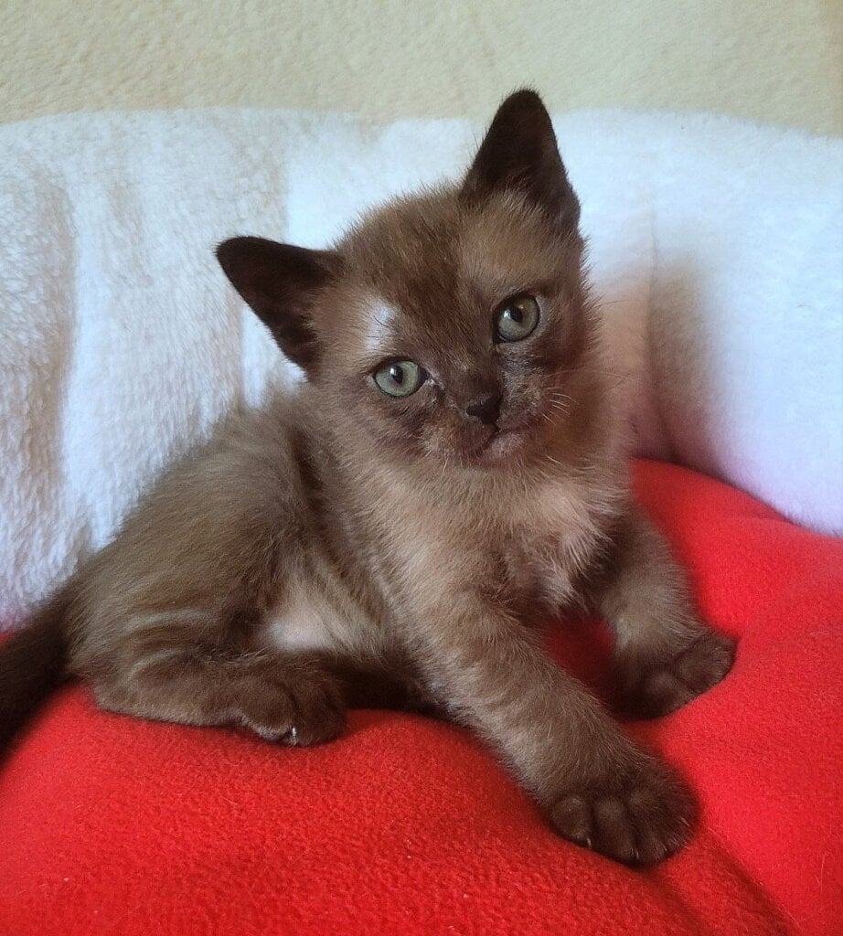 Photo 2026 04 18 11 21 40 2