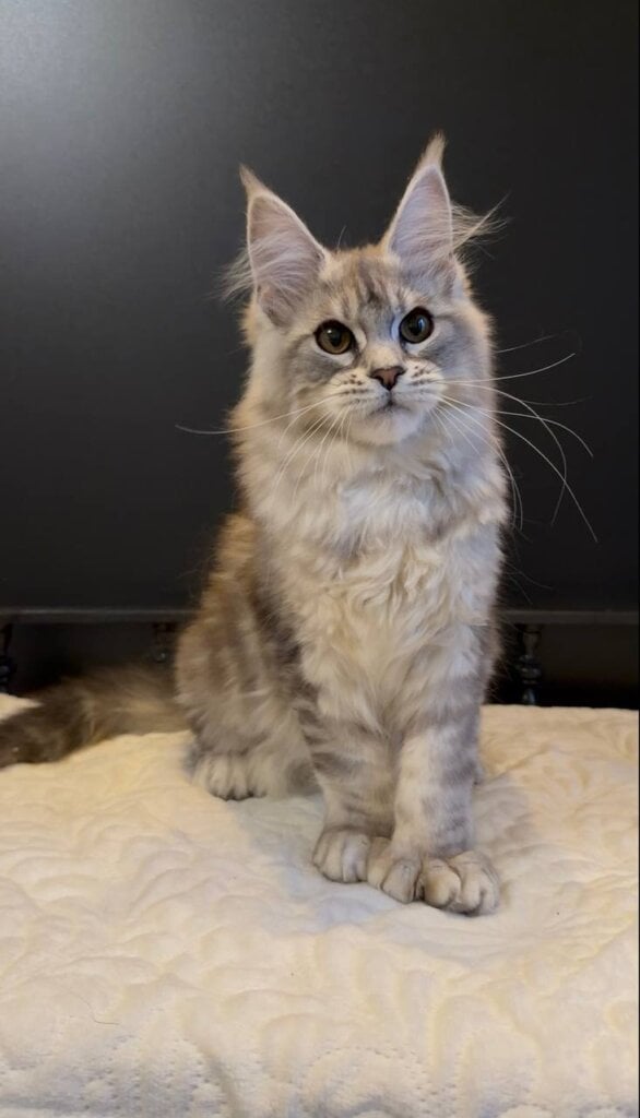 Photo 2026 04 18 22 44 49