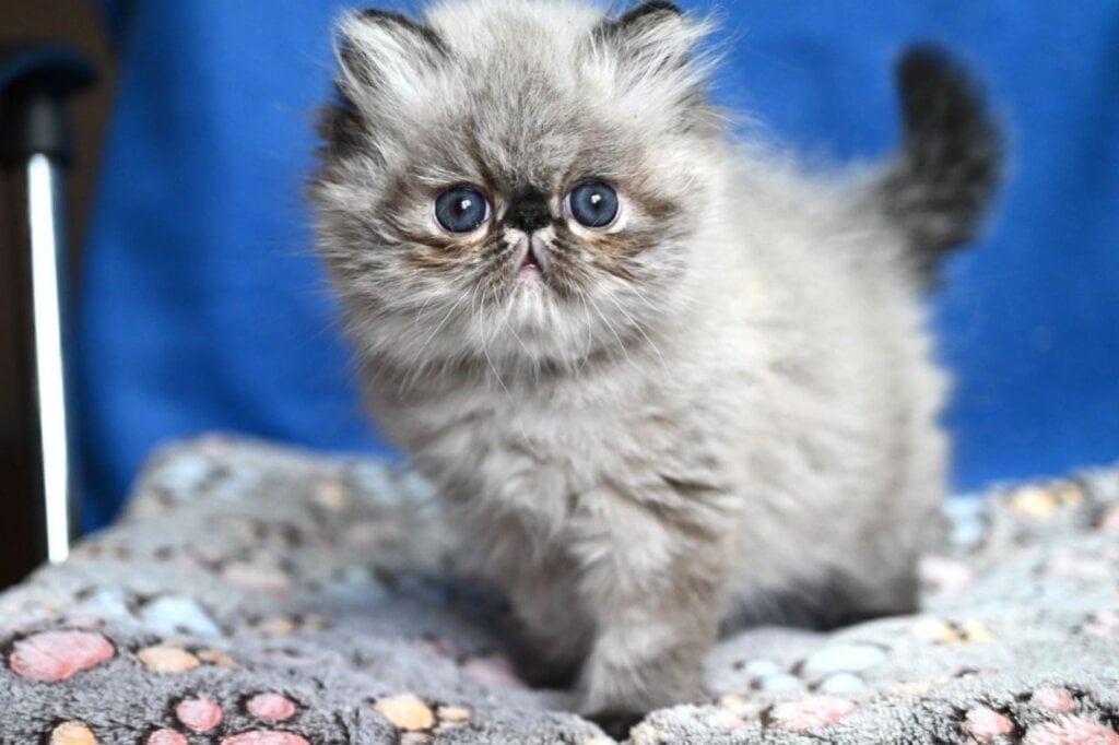 Photo 2026 04 19 03 12 17 2