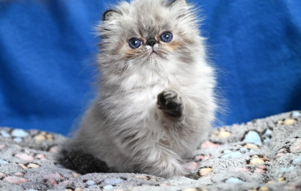 Photo 2026 04 19 03 13 29 3