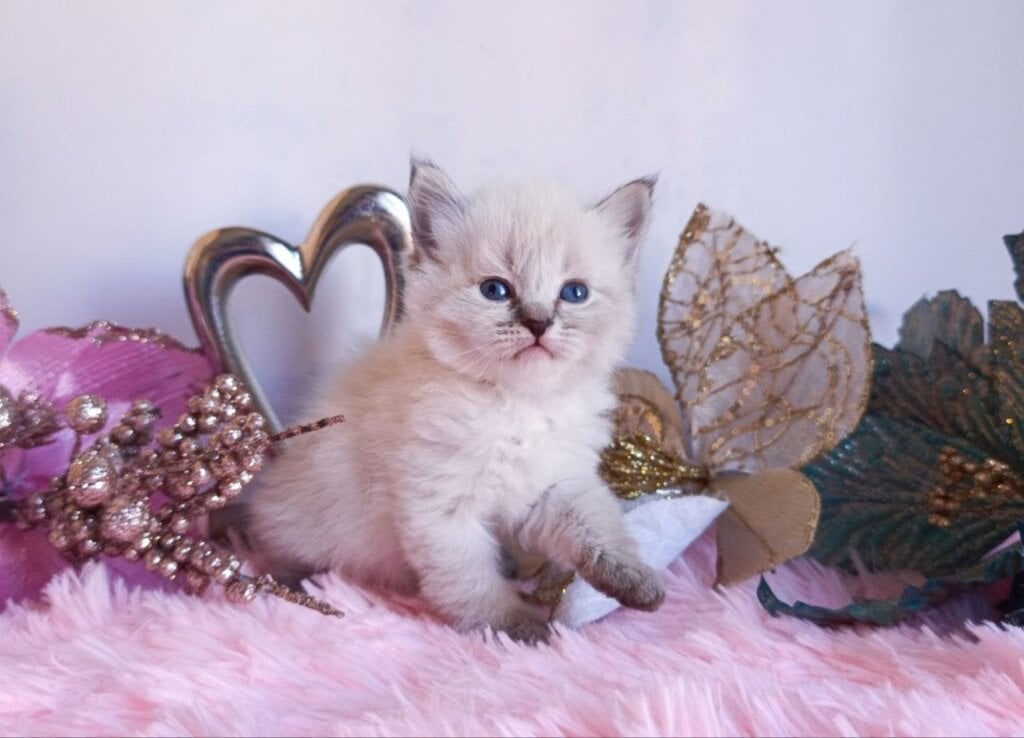 Photo 2026 04 19 09 40 35