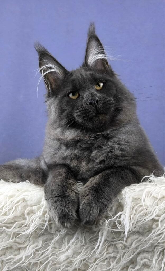 Photo 2026 04 19 11 36 08