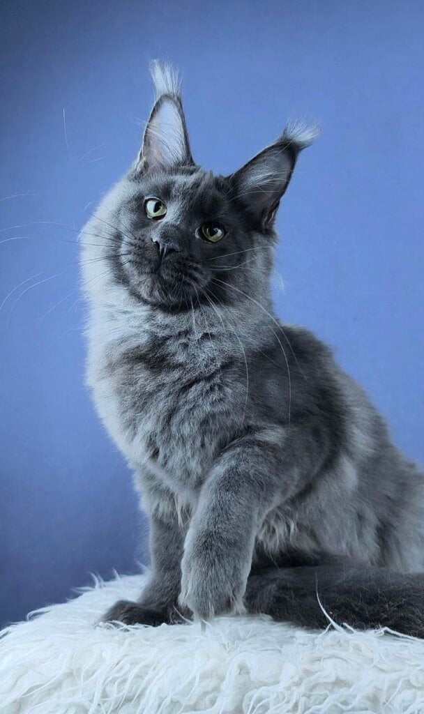 Photo 2026 04 19 11 39 40