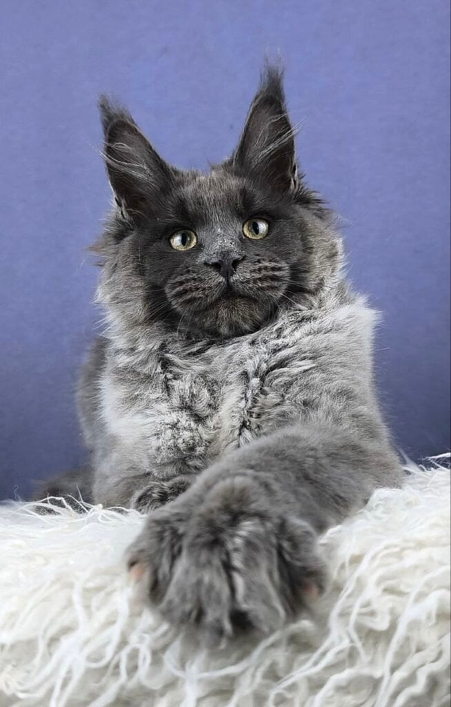 Photo 2026 04 19 11 57 19