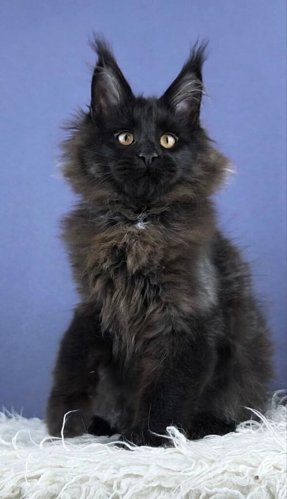 Photo 2026 04 19 12 06 36 2