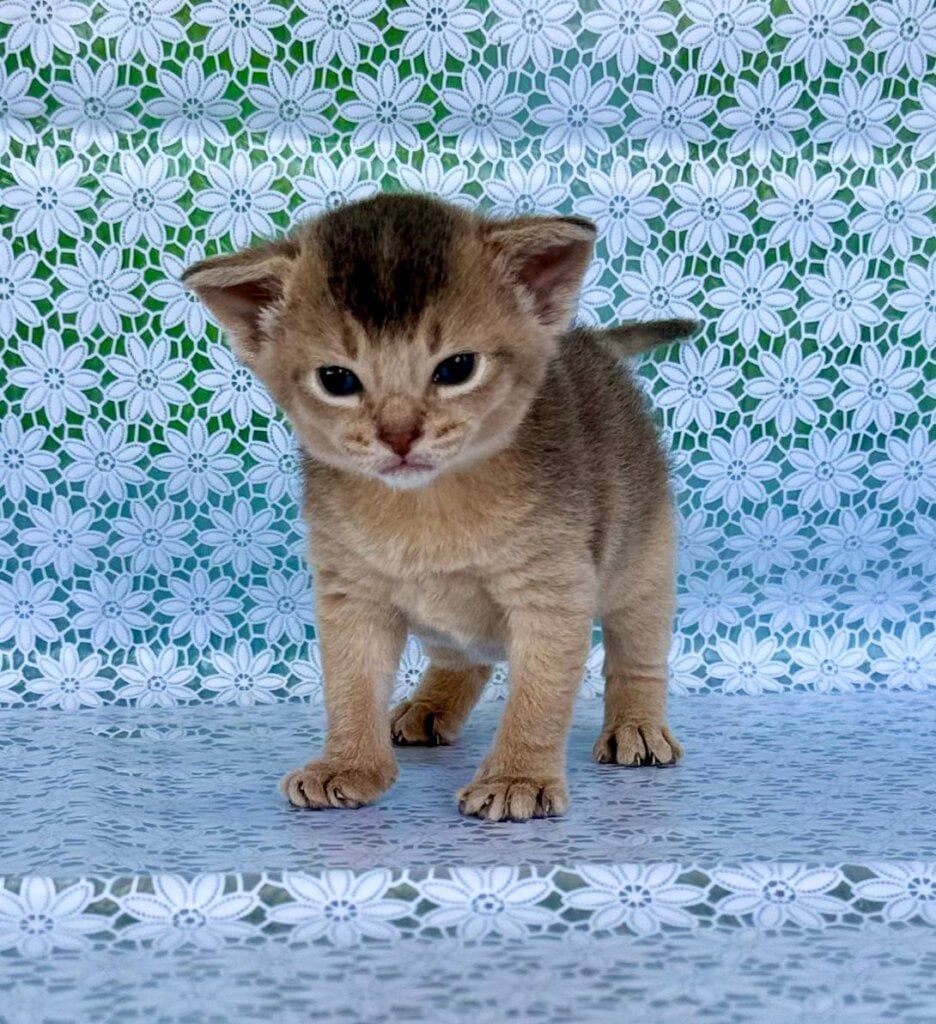 Photo 2026 04 19 15 45 46 2