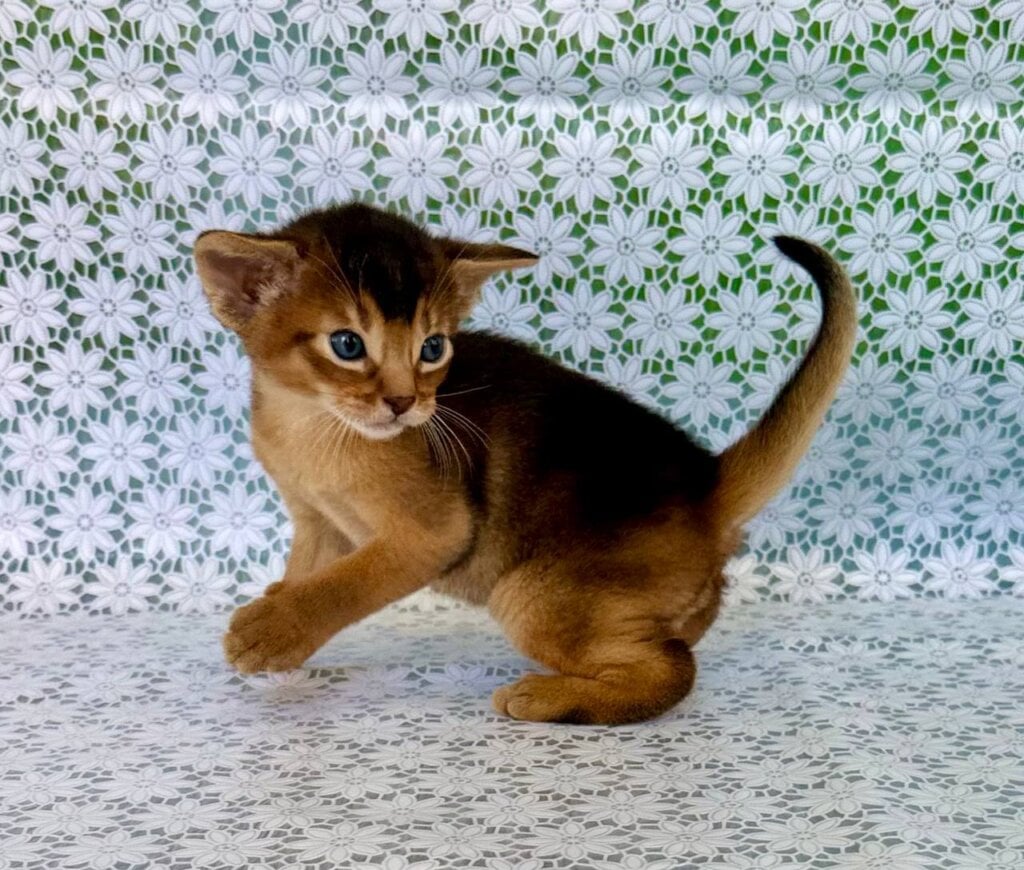 Photo 2026 04 19 15 46 53