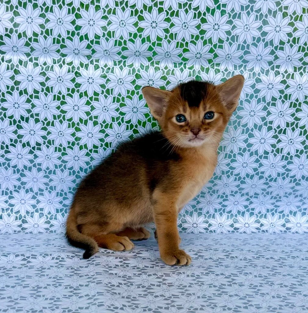 Photo 2026 04 19 15 47 33 2