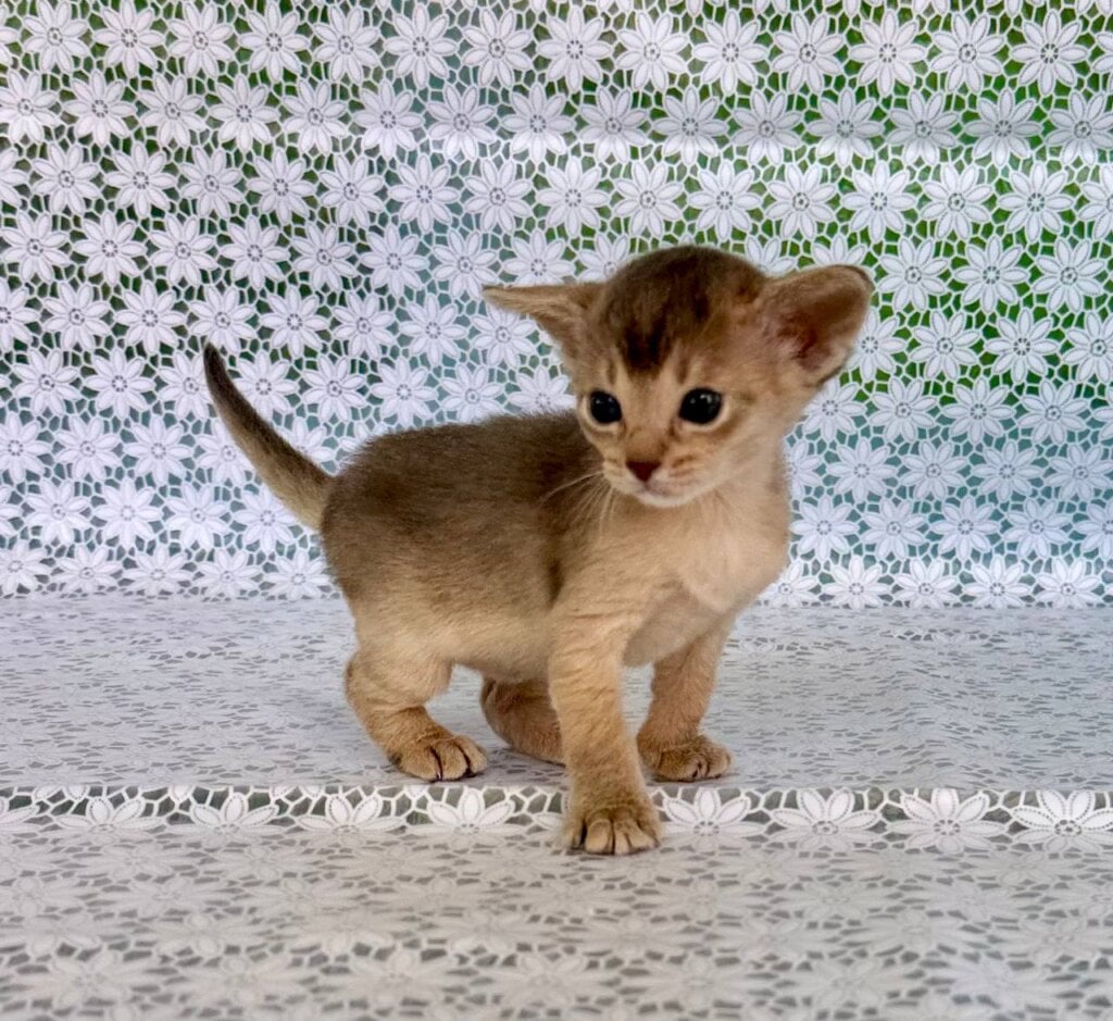 Photo 2026 04 19 15 48 17