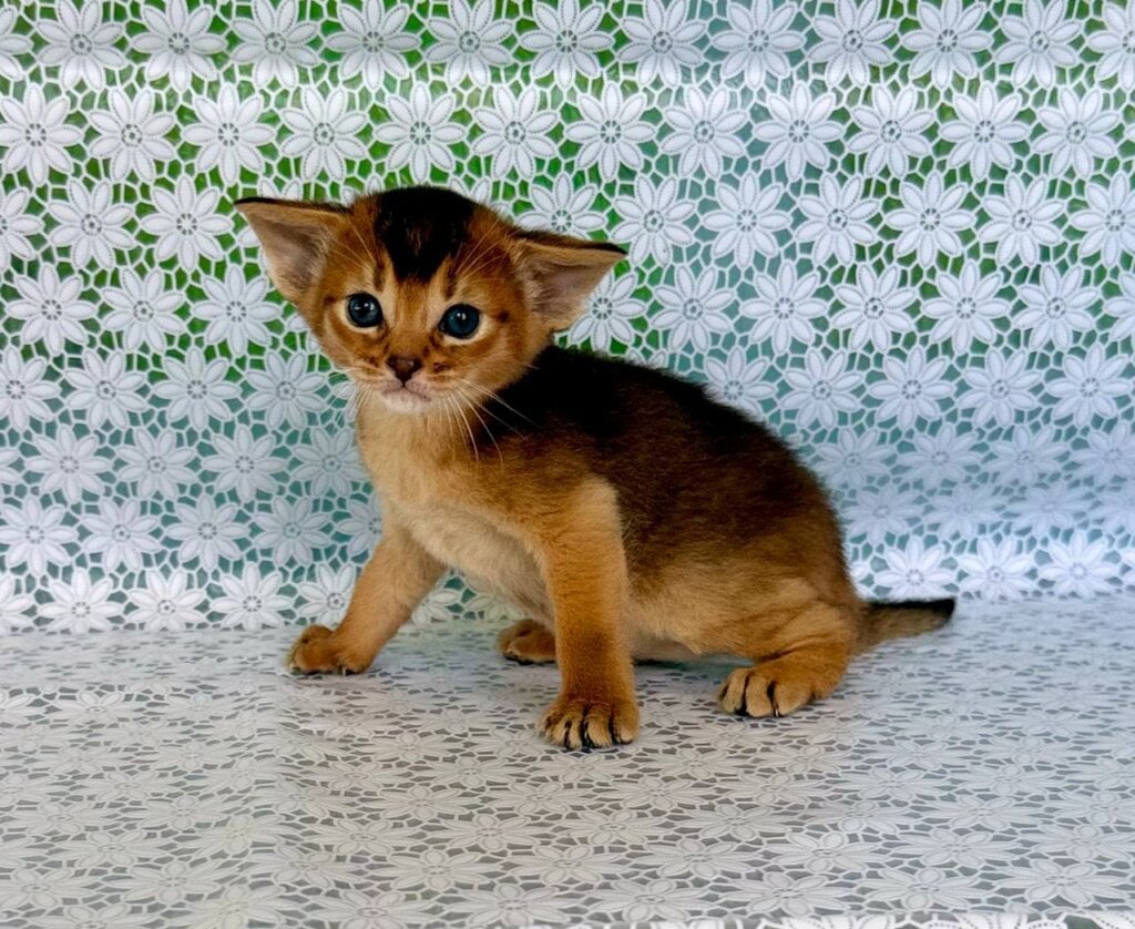 Photo 2026 04 19 15 49 27