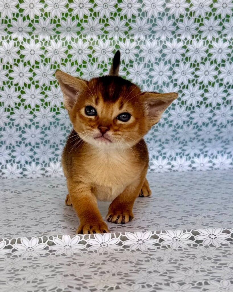 Photo 2026 04 19 15 51 27 3