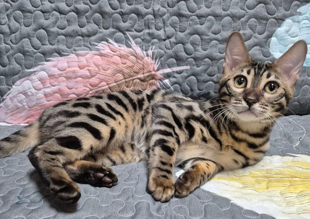 Photo 2026 04 19 22 05 28