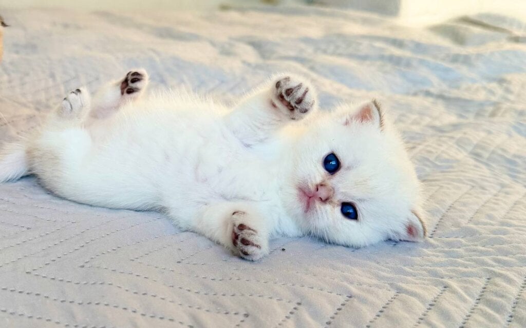 Photo 2026 04 20 13 10 47