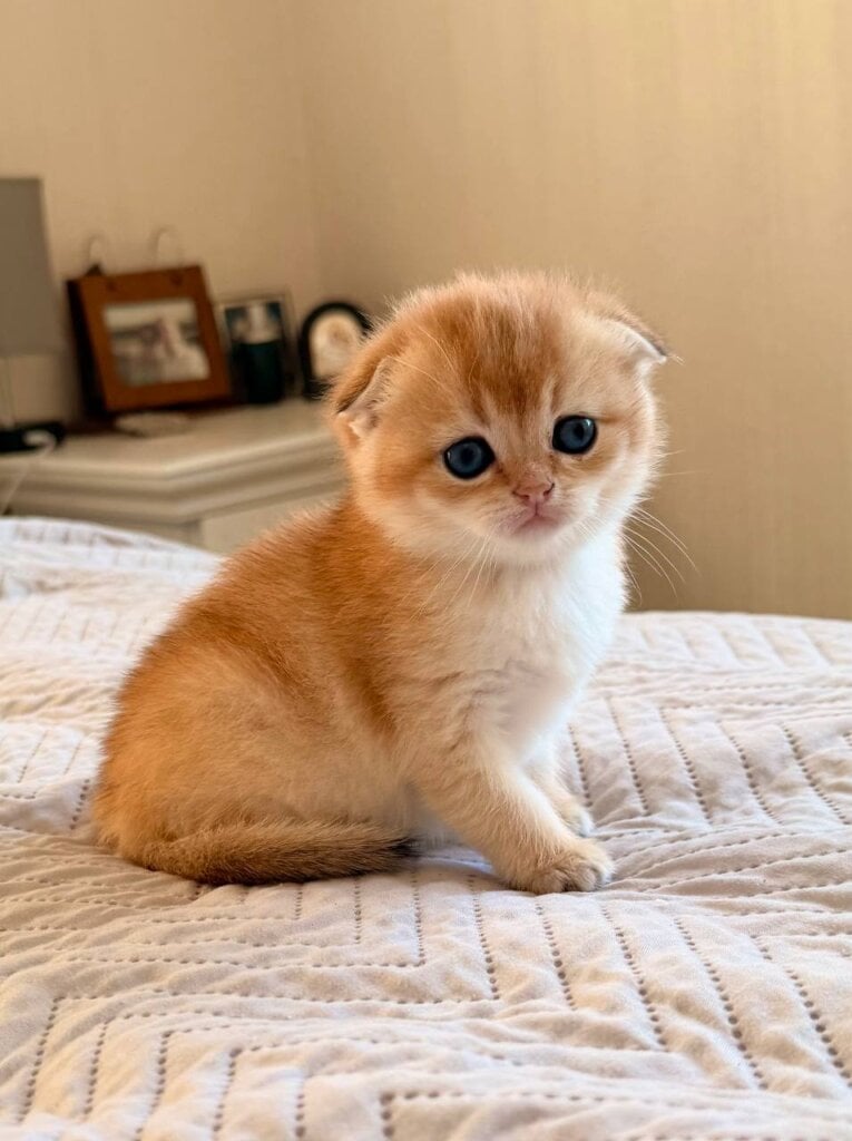 Photo 2026 04 20 13 19 48