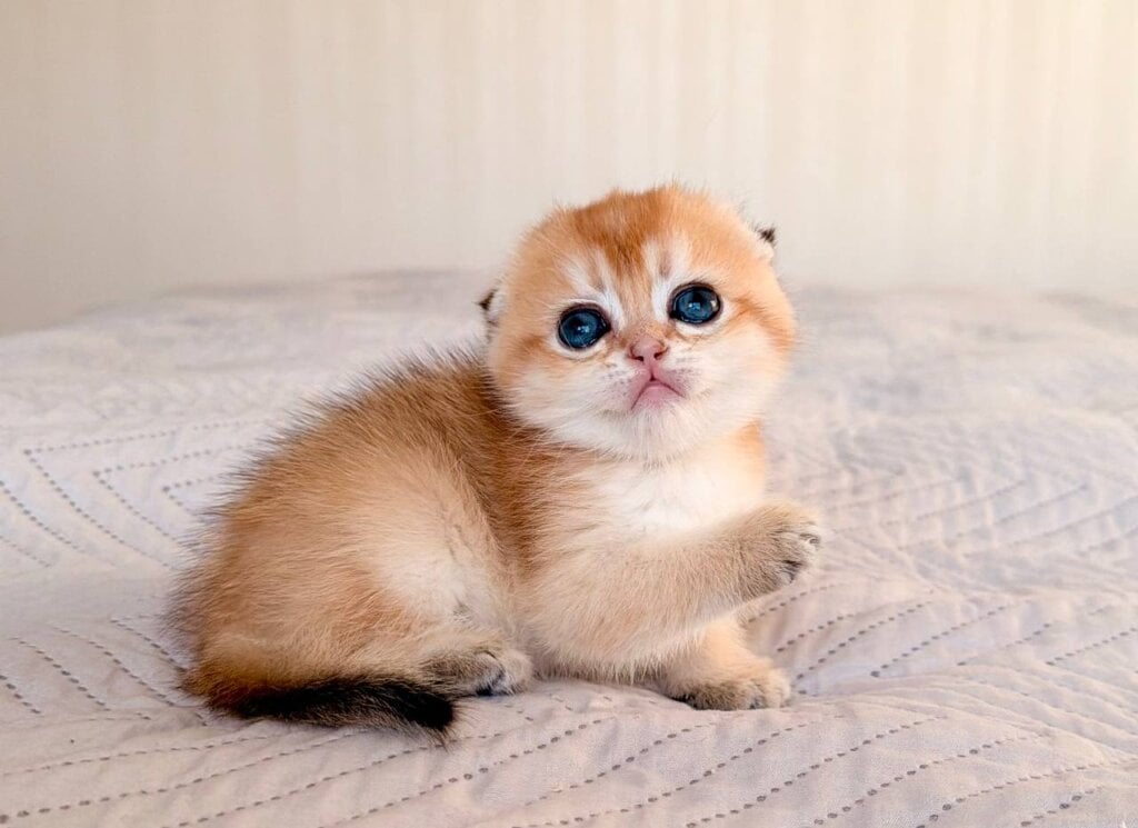 Photo 2026 04 20 13 21 34