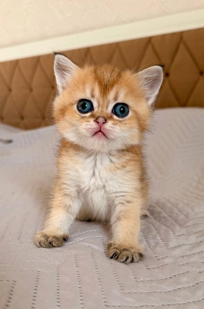 Photo 2026 04 20 13 24 42