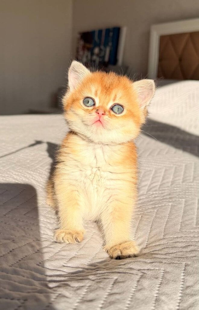 Photo 2026 04 20 13 26 52