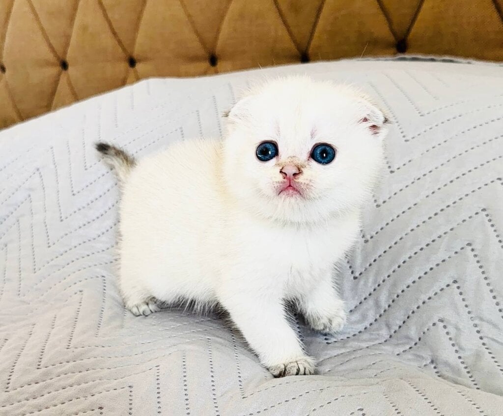 Photo 2026 04 20 13 28 04 2