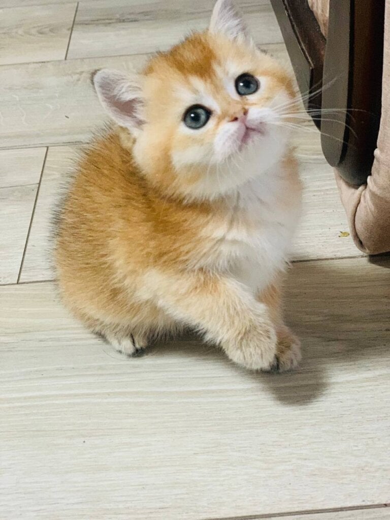 Photo 2026 04 20 14 23 38