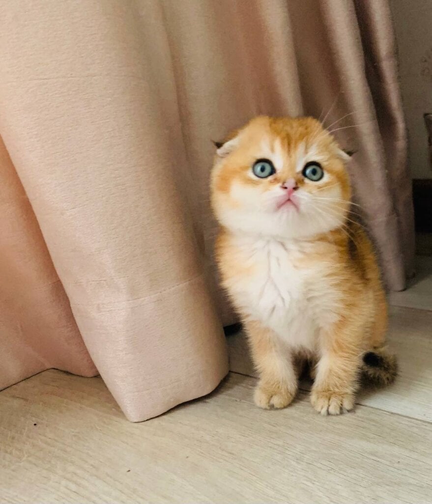 Photo 2026 04 20 14 26 38