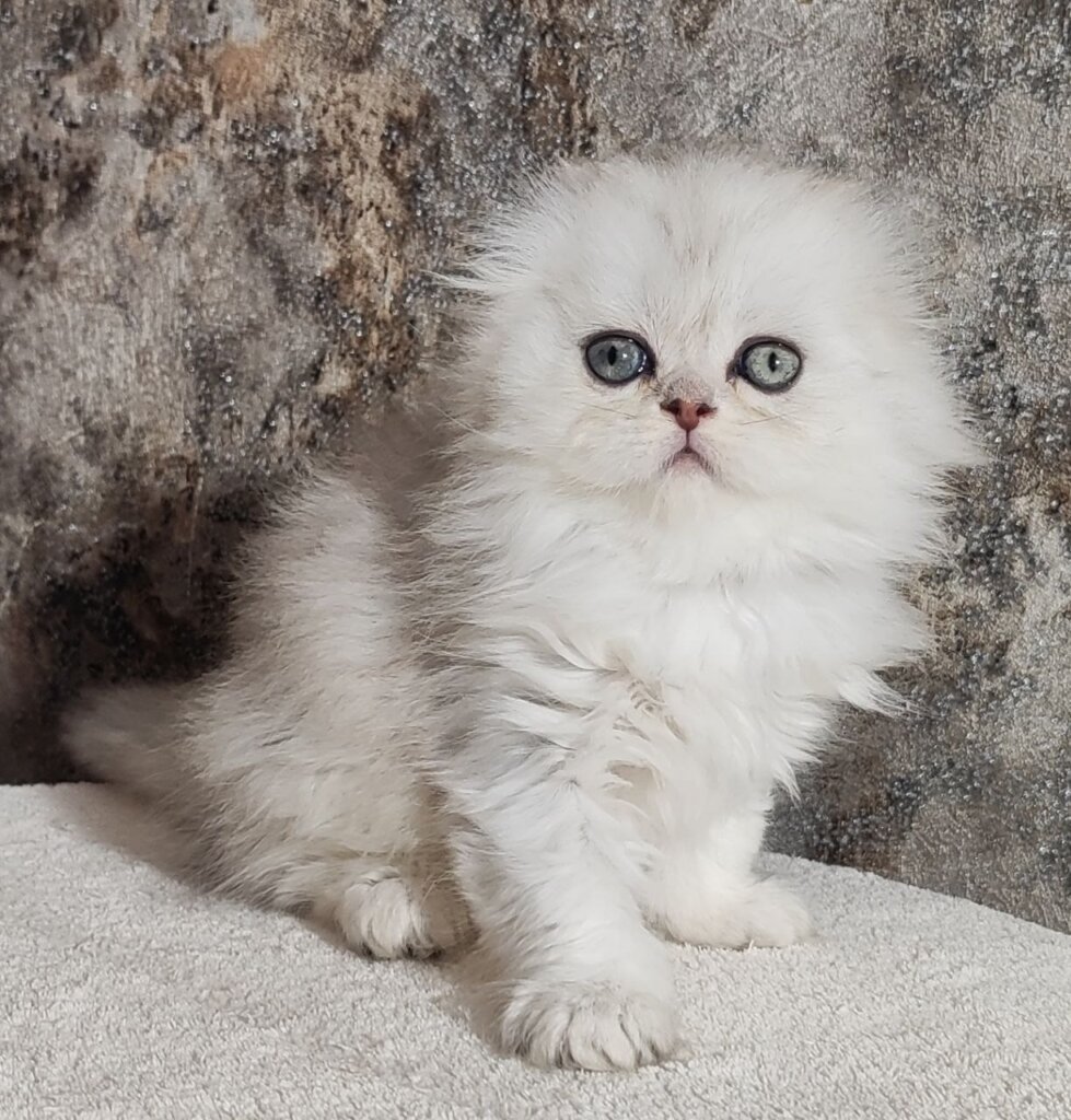 Photo 2026 04 20 15 20 52 5