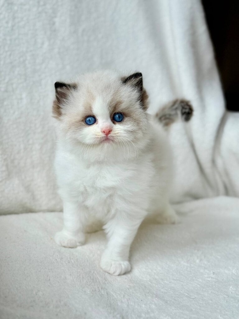 Photo 2026 04 20 19 10 00