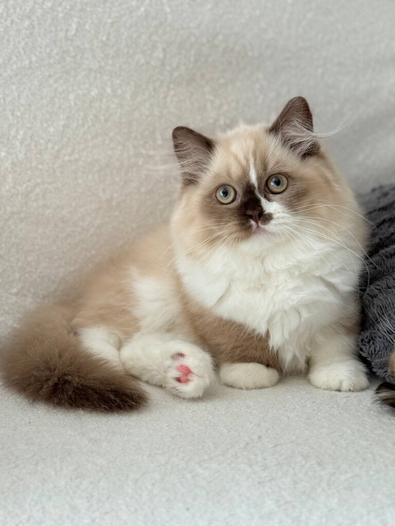 Photo 2026 04 20 19 13 55