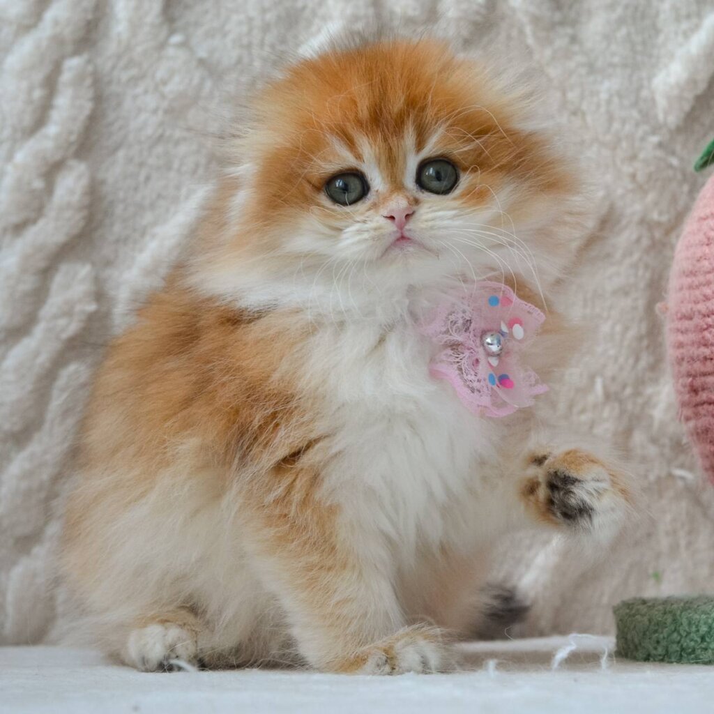 Photo 2026 04 20 20 23 28