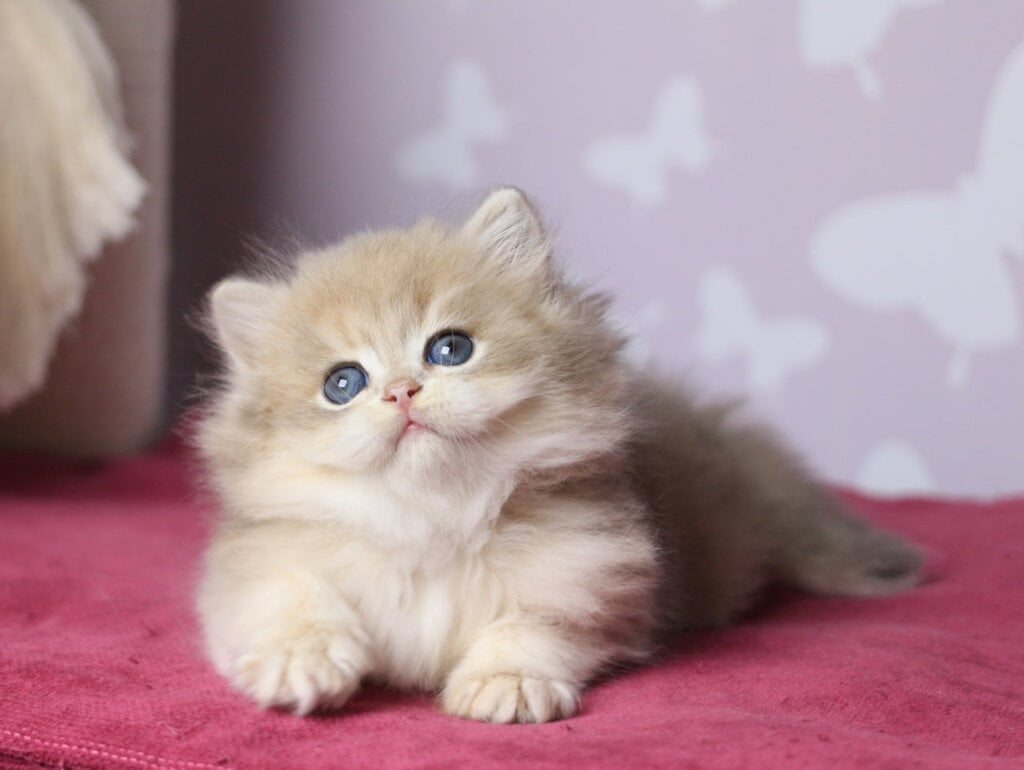 Photo 2026 04 20 21 07 49 3